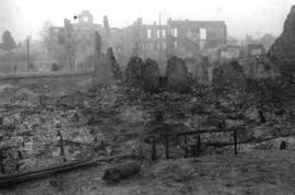 [Smoldering ruins of New Westminster after the great fire]