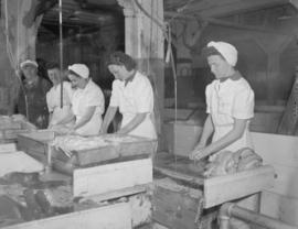 Prince Rupert : misc. scenes, dock scenes, Prince George Hotel : Jack Long [women processing fish]