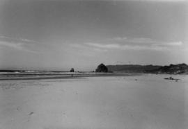 [Cannon Beach]