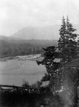 [View of the harbour and north shore from Prospect Point]