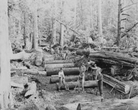 [Logging crew]