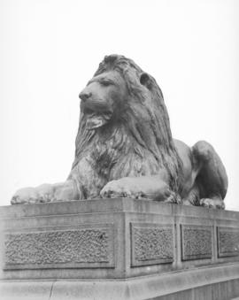 [Lion statue at base of Nelson's Column in Trafalgar Square]