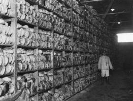 [Bread in storage for troops on the Western Front]