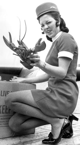Air Canada flight attendant, Judi Robertson, holding live lobster