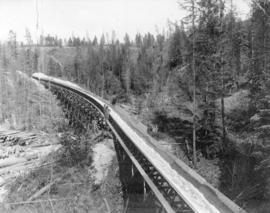 [Crow's Nest Pass Lumber Co.'s log flume at Bull River]