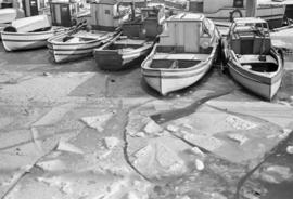 [Fish boats in ice at dock]