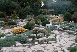 Landscape - detail : rock garden overview