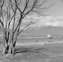 No wheat [view from Kitsilano Beach of freighter anchored in the harbour]