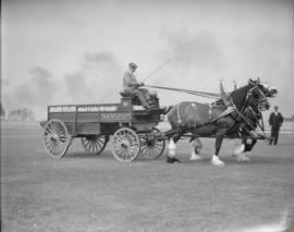 Canada Pacific Exhibition [Two horse team pulling an M. T. Co. wagon]