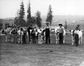 Line of youths with cattle in Junior Farmers competition