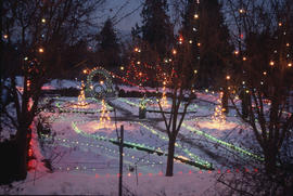 Festival of Lights : Christmas