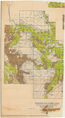 Topographical plan of 32 timber licenses. Nos. 7617-7644, 8803-8804 and 10723-10724