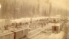 [View of the town of Rogers Pass]