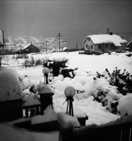 [Snowy view from the back porch of James Crookall's house at 3746 Eton Street]