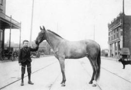 [A boy and horse on Hastings Street near Carrall Street]