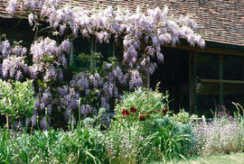 Gardens - United Kingdom : Great Dixter, England