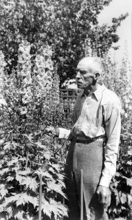 [James L. Quiney with delphiniums at 4916 Union Street, Burnaby]