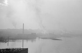 [Buildings along False Creek shrouded in the fog]