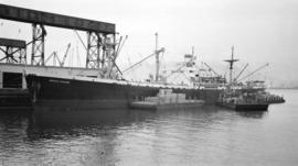 S.S. Megalohari [at dock]
