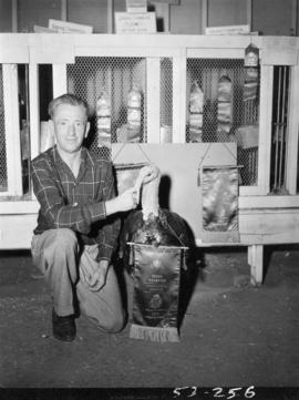 Man posing with grand champion turkey in poultry competition