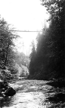 Below the swinging bridge - Capilano Canyon