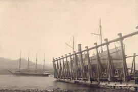[New England Fish Co.'s steam trawler S. S. "New England" in dry dock at B.C. Marine Ra...