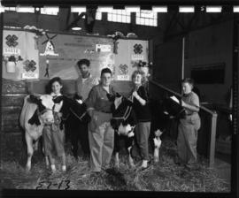 Cedar 4-H Holstein Dairy Club members with cattle