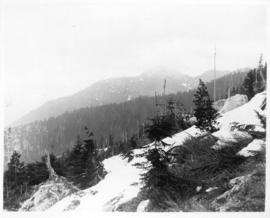 [View of] Eagle Crags, the Lions, Mount Capelano, 3750 ft.