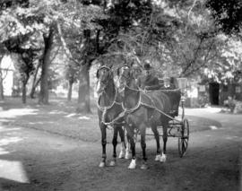 [Man and boy in horse drawn carriage in Plainfield, New Jersey]