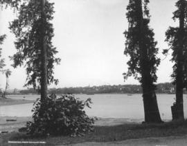 Vancouver from Stanley Park