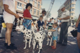 Vancouver Day attendees petting dalmatians
