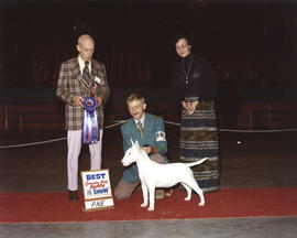 Best Canadian Bred Puppy in Show award being presented at 1975 P.N.E. All-Breed Dog Show [Bull Te...