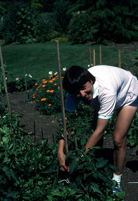 Education : children's vegetable garden