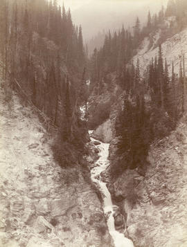 Stoney Creek [and falls in the Selkirk Mountains]