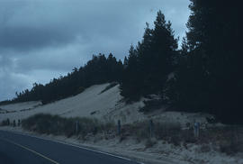Habitat : Oregon Dunes