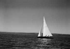 Sailboat : Bill Sprouse