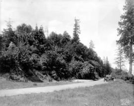 [View across Marine Drive from Spanish Banks Beach]