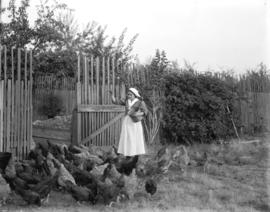 [Woman feeding chickens]