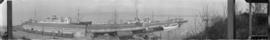 [View of Terminal Dock showing ships, barges and railway cars]