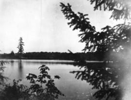 [View of Stanley park from across Coal Harbour]