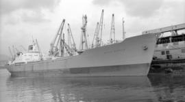 M.S. Bahia Blanca [at dock]