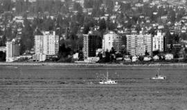 Fishing boats in Burrard Inlet coming in with their catch