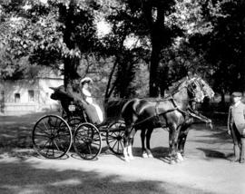 [Man and woman in horse drawn carriage in Plainfield, New Jersey]