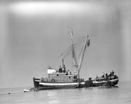 "Cape Caution" hauling in nets