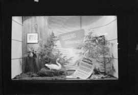 B.C. Electric Company display : Conserve and Perpetuate