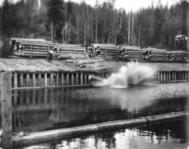 Eagle Lake Sawmills, Giscome, B.C.  Dumping the loads at mill