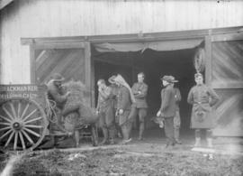 29th Battalion and Yukon Detachment [Men unloading hay from a wagon]