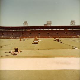 Installation of artificial turf at Empire Stadium