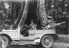 [Three men in a British Daimler car in front of the Hollow Tree]