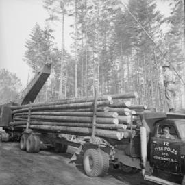 Elk Falls Co. : tour party at logging operation